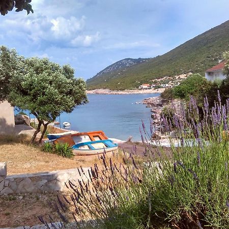 Apartments Sonija Gdinj Екстер'єр фото